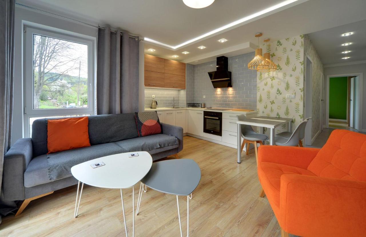 Apart Invest Warynskiego 12 Schreiberhau Exterior foto